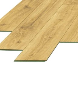 roble-americano-3