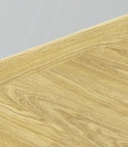 roble-hollywood-2