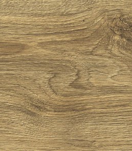 roble-urania-4