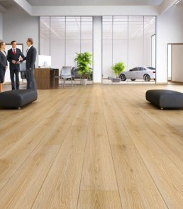 woodfloor-platinium-sound-soul-3